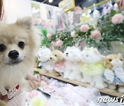 국내 최대 반려동물 박람회 '2023 케이펫페어' 개막