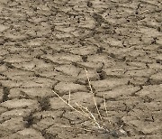 50년 만의 최악 가뭄 남부 지방...식수·농업용수 공급 비상