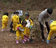 강진군, '내 나무 갖기 캠페인' 동백나무 식재