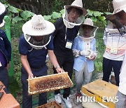 "꿀벌아, 돌아오렴"…영월군, 양봉산업 활성화 박차