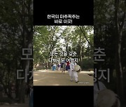 한국의 ‘마추픽추’는 '이곳'…외신이 주목하는 국내 관광지는? [영상]