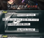 차 유리 뚫고 사람 죽이는 판스프링, 한문철 “번거로워서” 일침(한블리)[결정적장면]