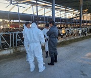 [경남소식] 농가 맞춤형 젖소 결핵병 검진…사천서 시범사업