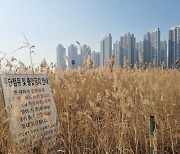 "17년간 황무지"…인천시의회, 송도 6·8공구 개발 지연 성토