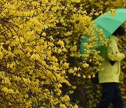 [오늘의 날씨] 광주·전남(25일, 토)…오후부터 5㎜ 비, 미세먼지 나쁨