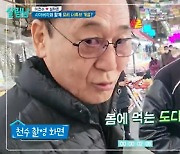 '이천수♥' 심하은, "시아버지와 유튜브 하겠다"…폭탄발언 (살림남2)[종합]