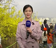 [날씨] 서울 등 곳곳 황사...따뜻한 날씨에 봄꽃 만발