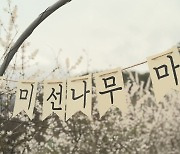 '새하얀 꽃망울' 미선나무...우리나라에서만 자생