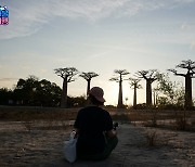 ‘지구마불 세계여행’ 원지, 50시간 달려 마다가스카르 바오밥나무 선셋 감상