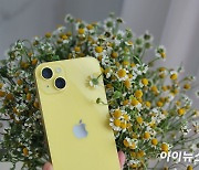 [써보니] '노란옷' 입은 아이폰14 옐로…봄기운 물씬