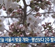 오늘 서울서 벚꽃 개화…평년보다 2주 빨라