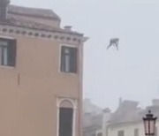 [영상] 건물 옥상서 뛰어내려 ‘풍덩’…“멍청한 영상 위해 목숨 걸어” [나우,어스]