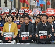 대일 굴욕외교 규탄 범국민대회 참석한 민주당-정의당