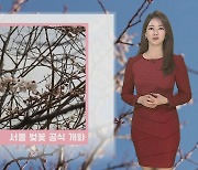 [날씨] 서울 벚꽃 공식 개화…내일 오전까지 황사 영향