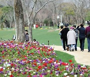 봄꽃으로 물든 순천만국가정원