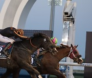 UAE HORSE RACING DUBAI WORLD CUP 2023