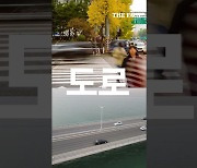 [아하!] 정동원도 헷갈려…자동차전용도로와 고속도로 차이점은? (영상)