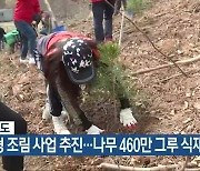 충청북도, 맞춤형 조림 사업 추진…나무 460만 그루 식재