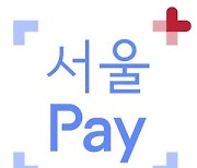 서울 모든 자치구에서 쓰는 ‘광역 상품권’ 250억원 규모 발행…7% 할인 금액