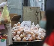 감자 가격 또 뛴다…평년 대비 최대 36%↑