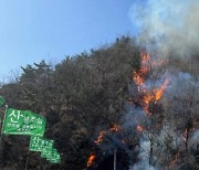 홍천 사유림 산불…1시간 30분만에 진화