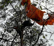 밀양서 패러글라이더 나무에 걸려…20대 여성 1명 구조