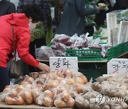 "4월에도 감자 비싸다…평년보다 27∼36%↑"