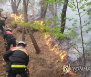 행안부 재난안전본부장, 마니산 산불에 "가용자원 신속 투입"