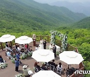 국립공원공단, 다문화·저소득층에 '숲속 결혼식' 기회 제공한다