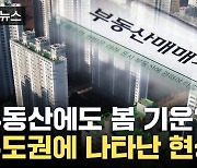 [자막뉴스] 수도권에 나타난 현상...부동산에도 봄 기운 활짝?
