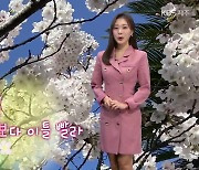 [날씨] 제주 벚꽃 만발…내일 아침 쌀쌀·낮부터 기온 ↑