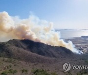 축구장 30개 면적 '잿더미'…마니산 산불 30시간만에 완진