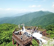 '국립공원 숲속 결혼식' 참여자 모집…4월20일까지