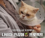 나비야사랑해-고양이병원소설, '나비야건강해' 프로젝트 실시