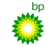 BP·애드낙, 이스라엘 뉴메드 에너지 지분 50% 인수 제안