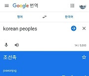 ‘코리안 피플즈’=‘조선족’?…구글·네이버·카카오 번역 오류