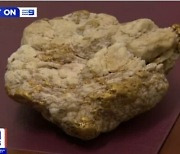‘골든 트라이앵글’ 주변서 우연히 주운 돌이 무려 ‘3억짜리 금광석’