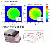 韓 연구팀, 반도체 ‘광전자 소재’ 성능 높일 원리 찾았다