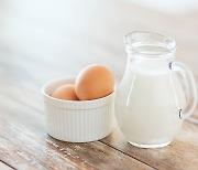 1세 미만 아기에게 가장 많은 알레르기 유발 음식 '계란·우유'