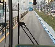 [부산] 대중교통 혁신 방안...월 4만5천 원 무제한 요금제