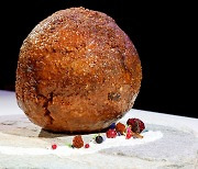 매머드 고기는 무슨 맛일까… 4000년 전 DNA로 만든 미트볼 공개