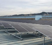 동국제강, 포항 공장 지붕 태양광으로 덮는다…10㎿급 자가발전 구축