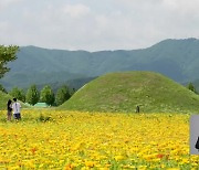 [현안 돋보기] 꽃세상 경주, ‘서라벌 황금정원’으로 관광객 유혹