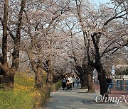 바퀴벌레만큼이나 질긴 그 이름, '윤중로' [성낙선의 자전거여행]