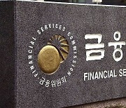 금융위, '회계처리 위반' 신흥·골드퍼시픽 과징금 5.2억