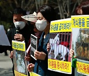 한국동물보호연합 '개식용 금지하라'