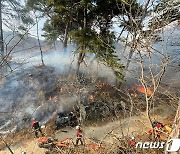 인천 서구 야산서 불…1시간23분만 주불 진화