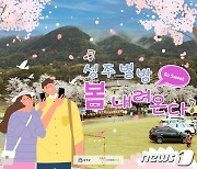 성주군 벚꽃 명소서 '별밤 봄내려온다'…31일부터 이틀간