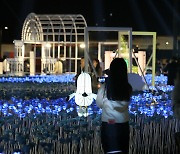 광화문광장을 밝히는 LED 장미
