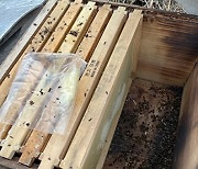 진도군, 꿀벌 피해 농가 긴급 지원